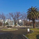 2/14(日)中区フィールドワーク