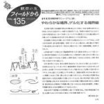 フィールドから : 観察の友 135号 – 201609