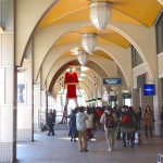 12/22(日)名古屋駅前観察