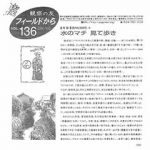 フィールドから : 観察の友 136号 – 201702