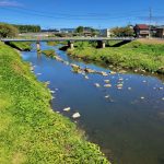 可児川